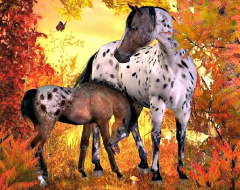 Spotted Horse and Foal — Orange