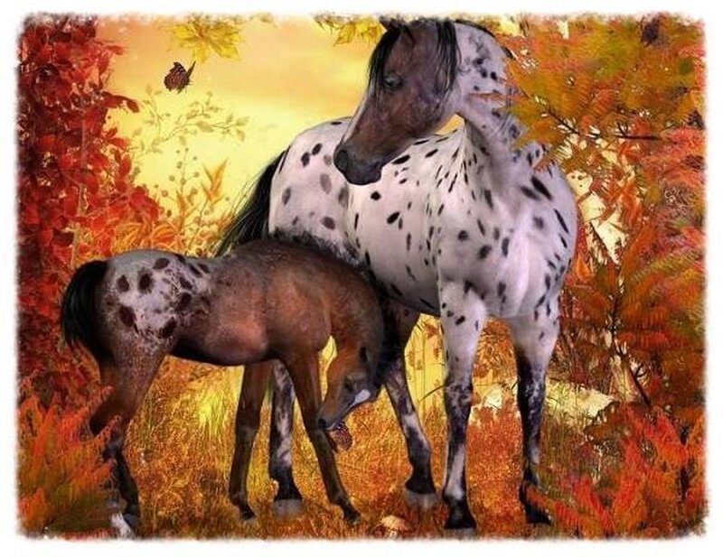 Spotted Horse and Foal