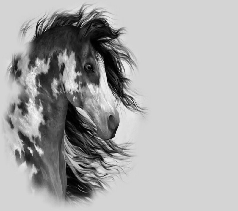 Spotted Horse Head — Black