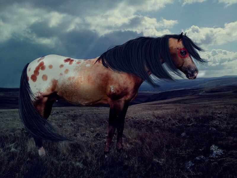 Spotted Horse in Field — Brown, Dramatic, Digital Art