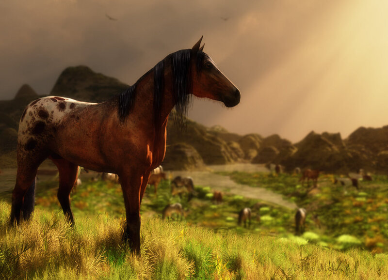 Spotted Horse in Field — Brown