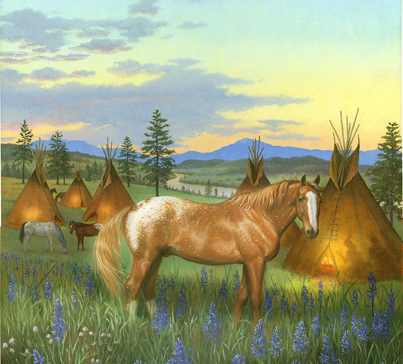 Spotted Horse in Field — Green, Serene