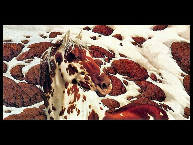 Spotted Horse in Snow — White, Calm