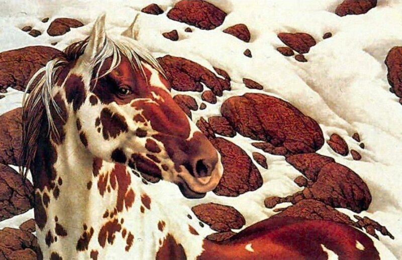 Spotted Horse in Snow — White, Calm, Winter, Painting, Rocks