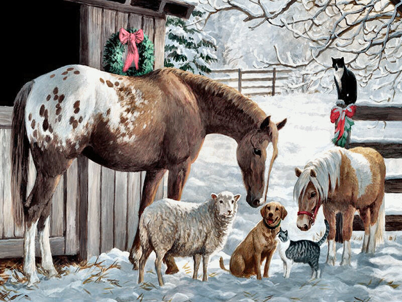 Spotted Horse in Snow — White, Peaceful