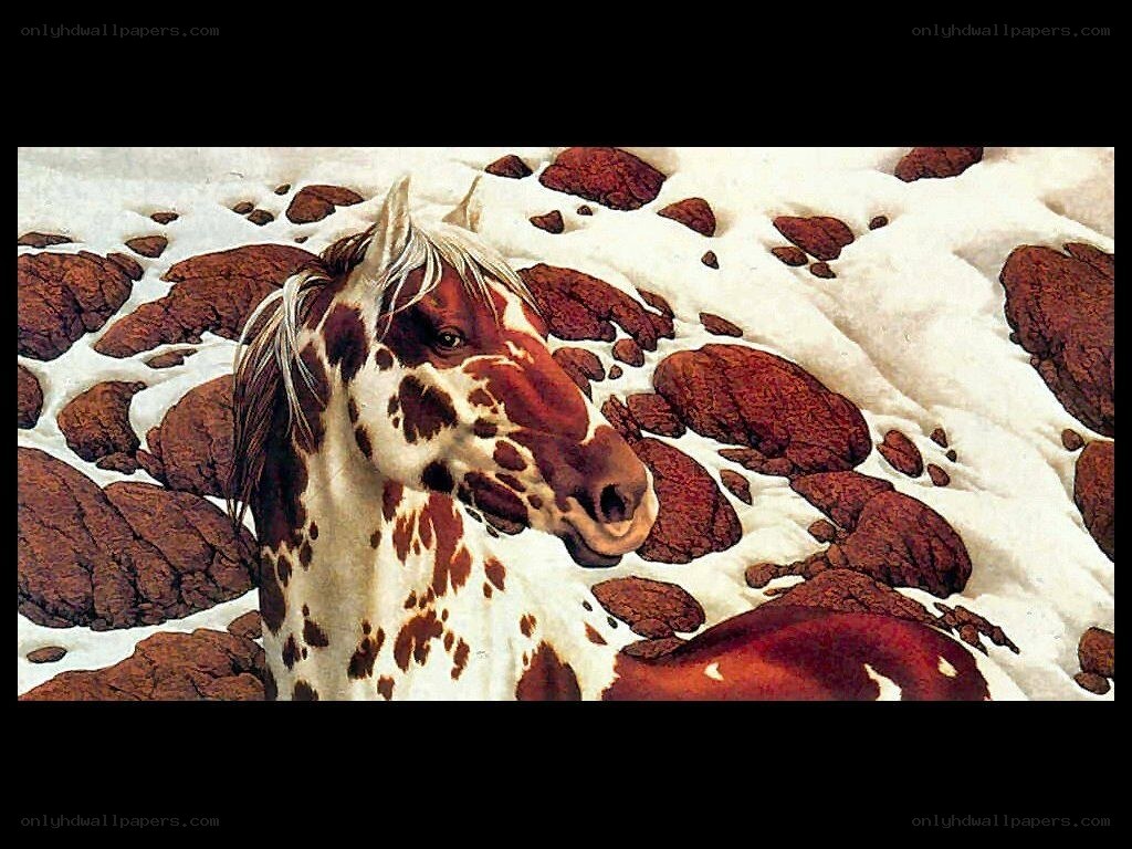 spotted horse in snow