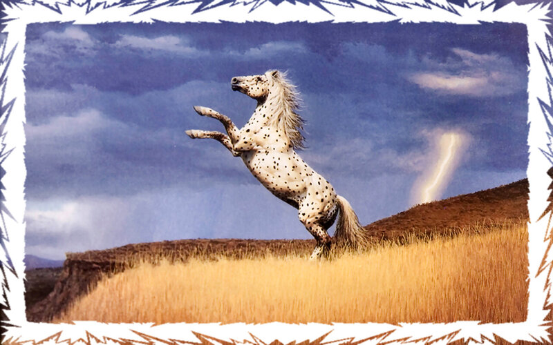 Spotted Horse Rearing — Blue