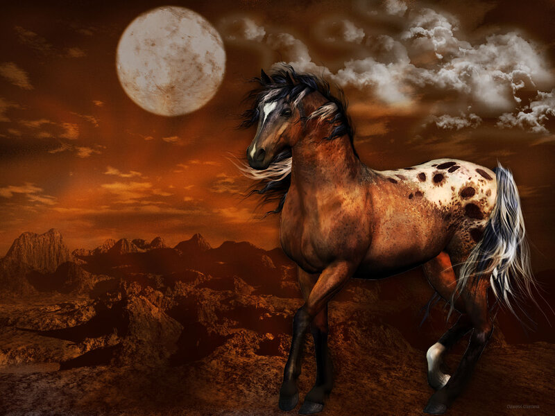 Spotted Horse Running — Brown