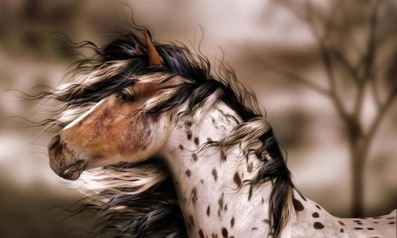 Spotted Horse with Flowing Mane