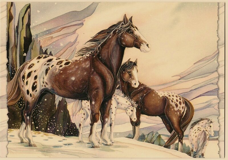 Spotted Horses in Snow