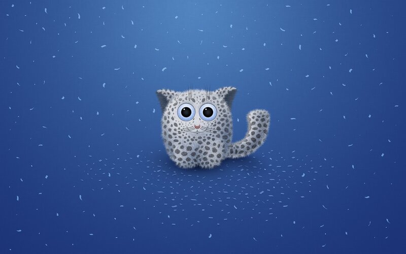 Spotted Kitten