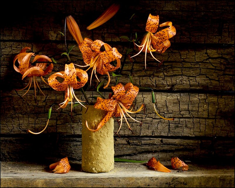 Spotted Lilies in Vase
