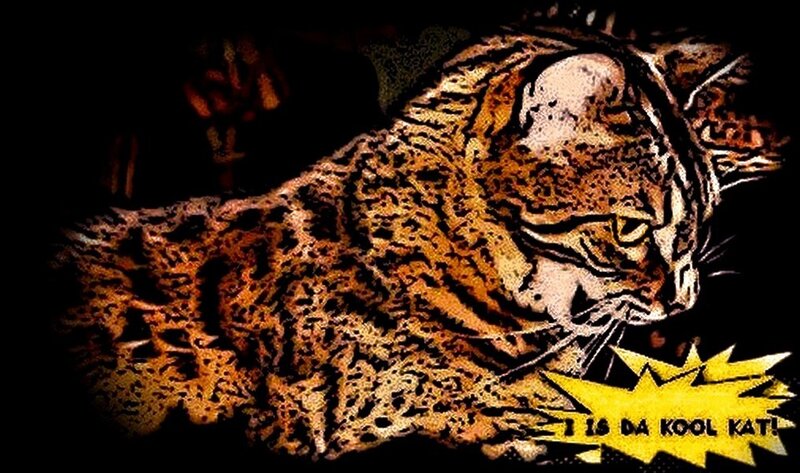 Spotted Wild Cat