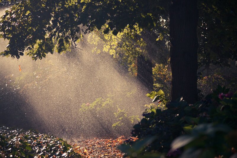 Spraying Water in Forest — Green, Serene