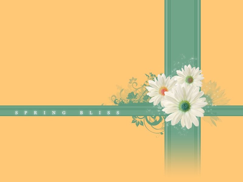 Spring Bliss floral design