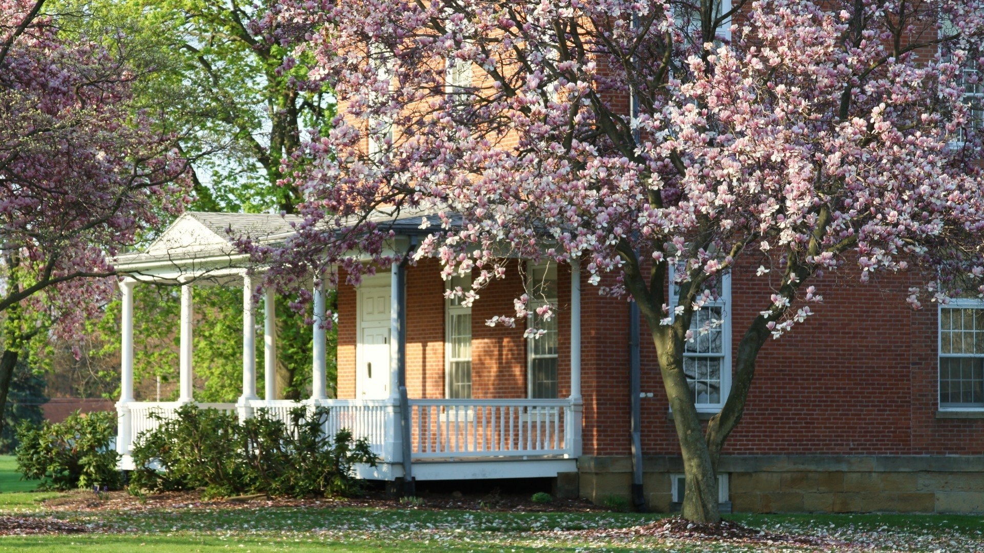 Spring blossoms at a brick house