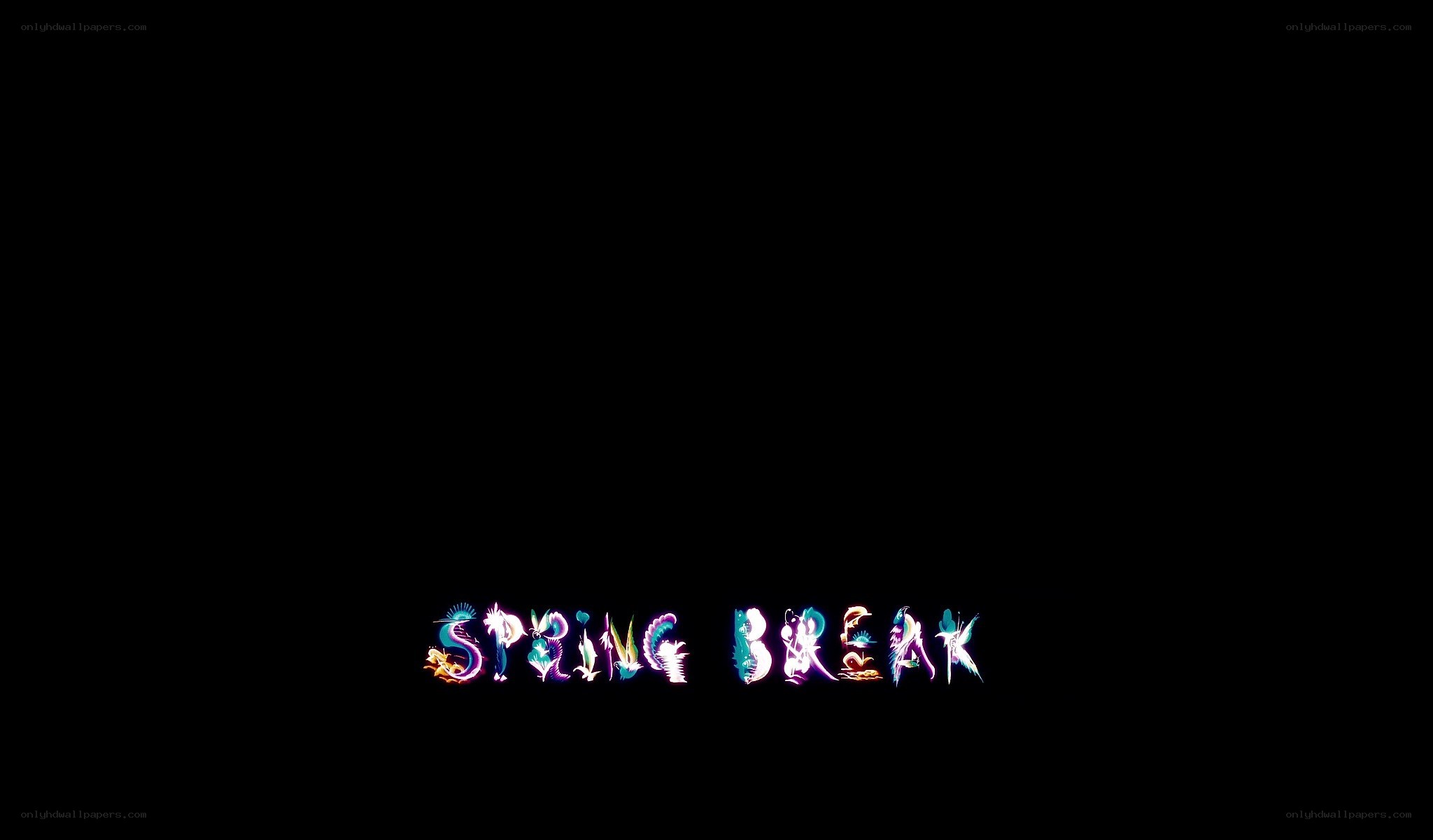 Spring Break text animation