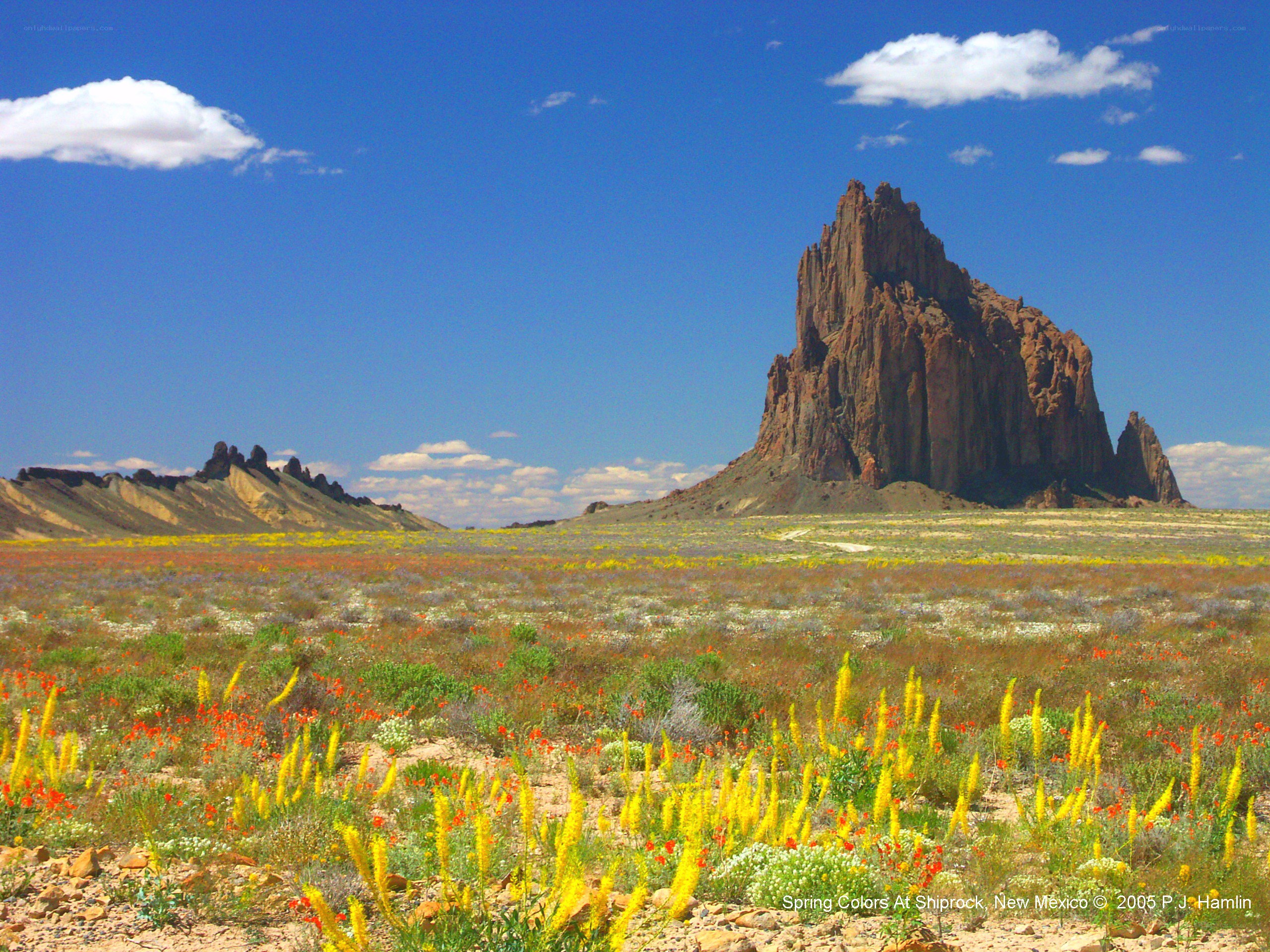 Spring Colors at Shiprock