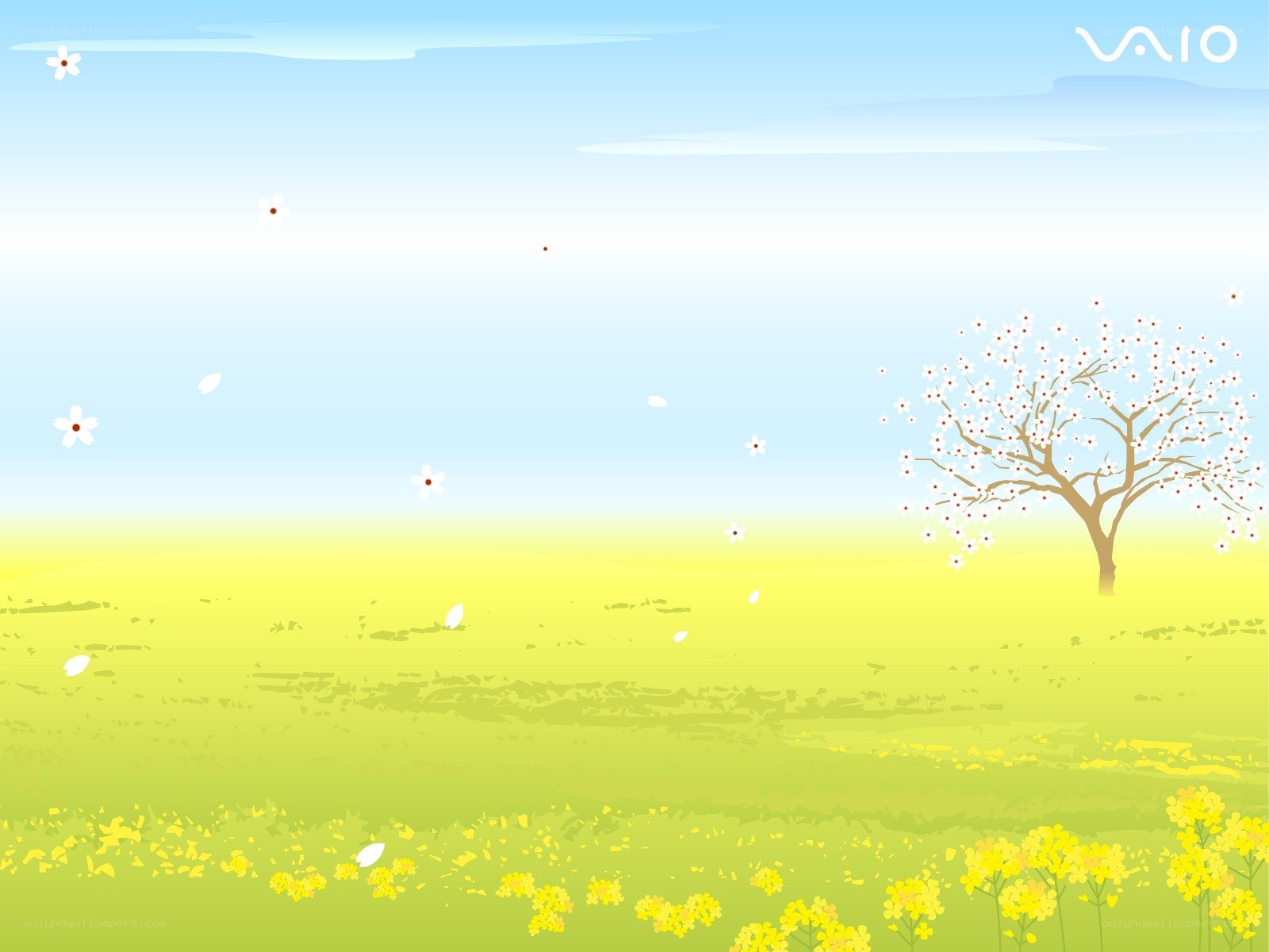 Spring field with blossoming tree