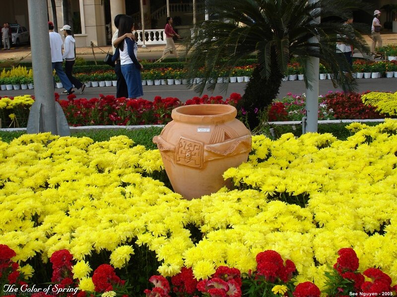 Spring Flower Display