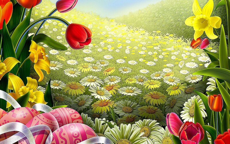 Spring Flower Field