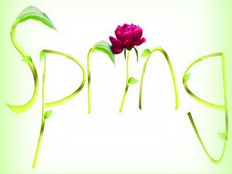 Spring Flower Text