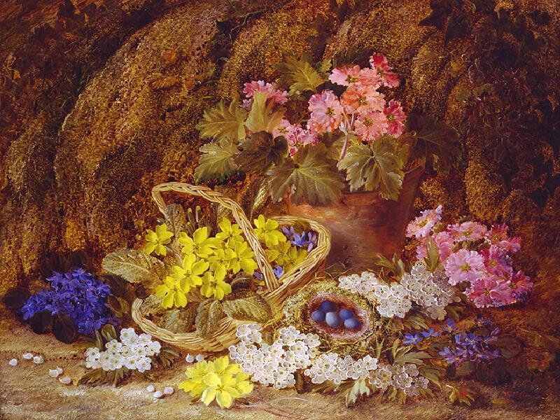 Spring flowers and bird nest