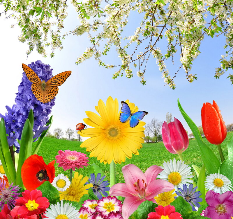 Spring Flowers and Butterflies — Green