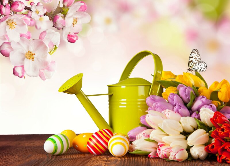 Spring Flowers and Eggs — Green