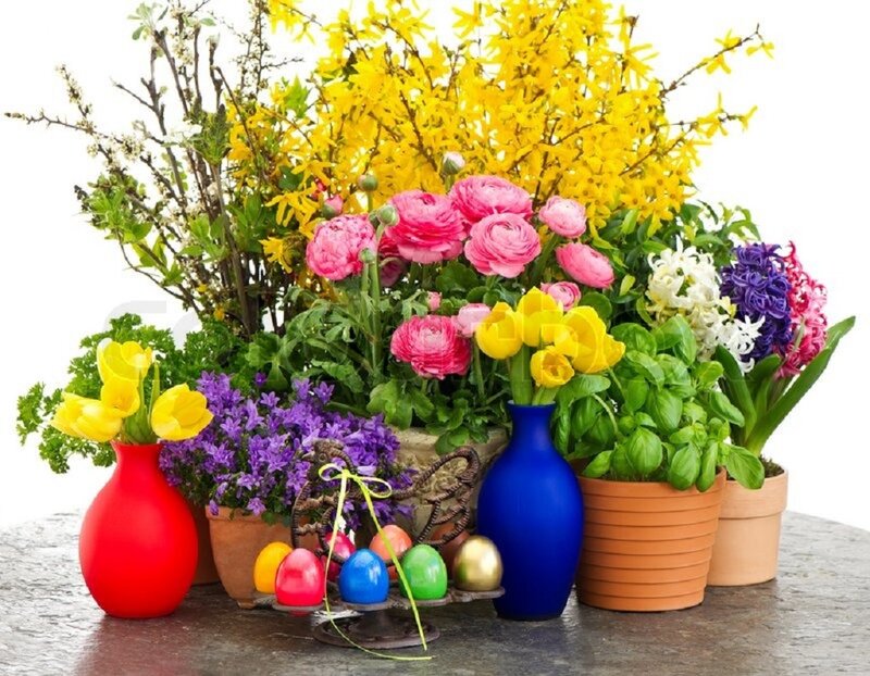 Spring Flowers and Eggs