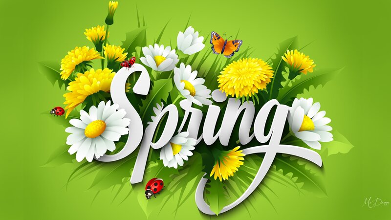 Spring Flowers and Insects
