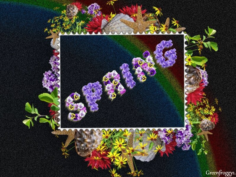 Spring Flowers and Seashells