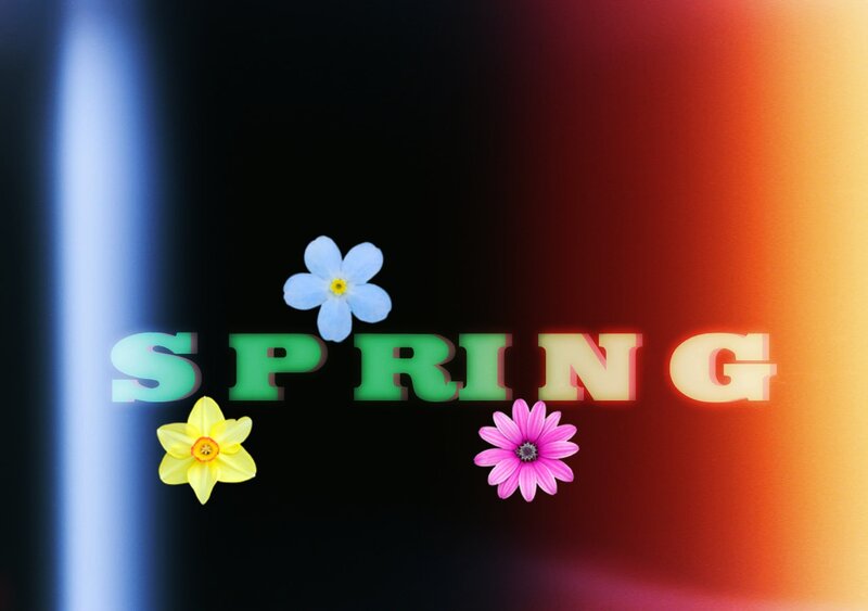 Spring Flowers and Text — Black