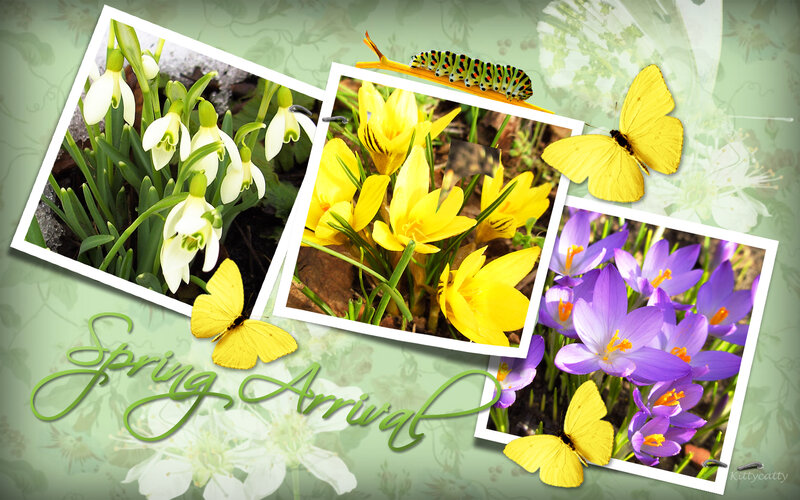 Spring Flowers Collage — Green