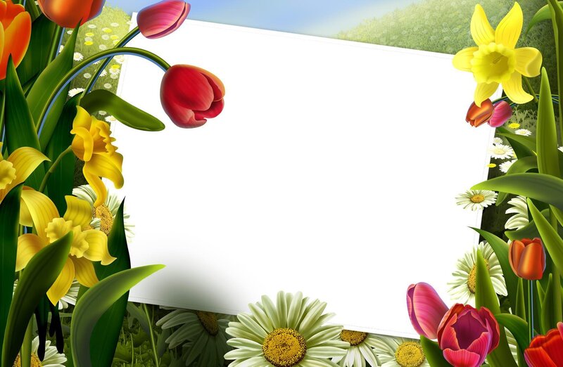 spring flowers frame