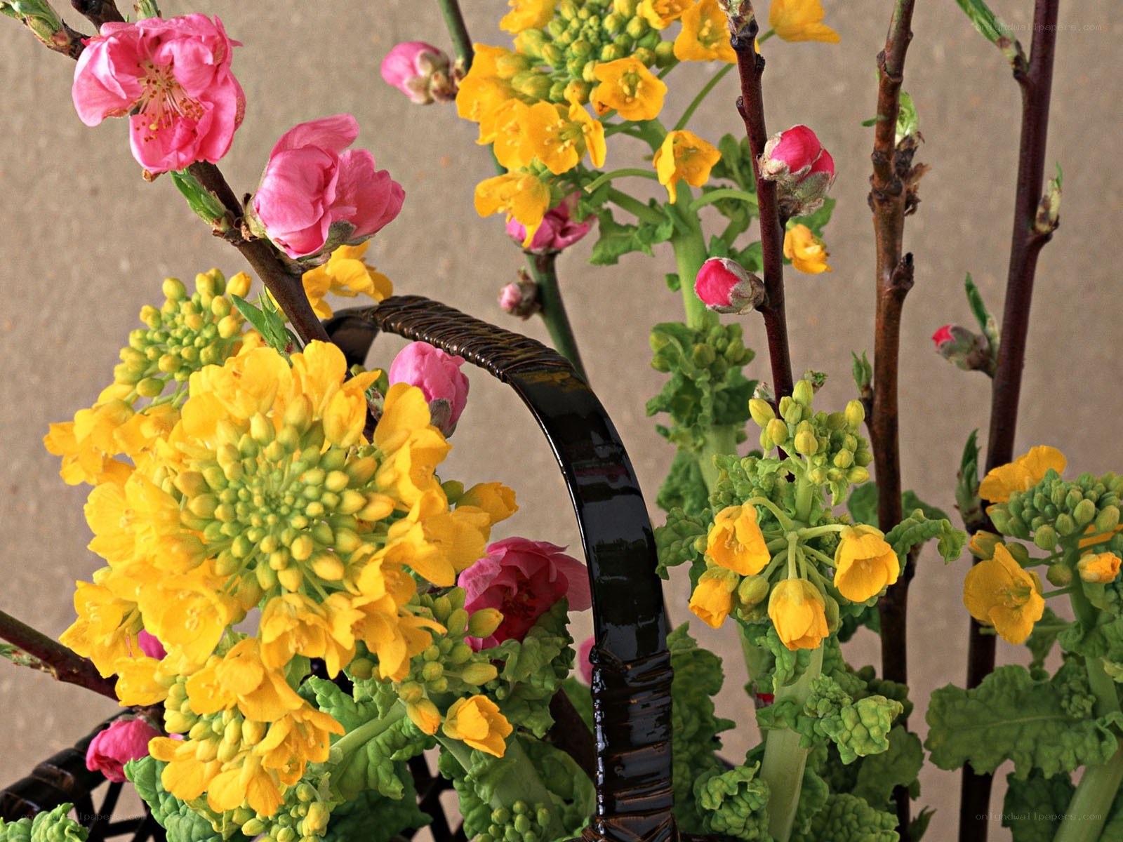 Spring flowers in a basket