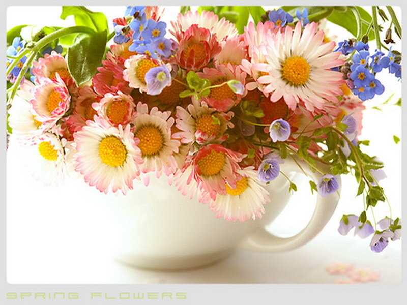 Spring flowers in a white cup
