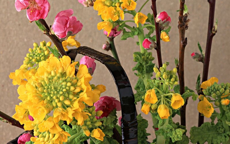 Spring Flowers in Basket — Yellow