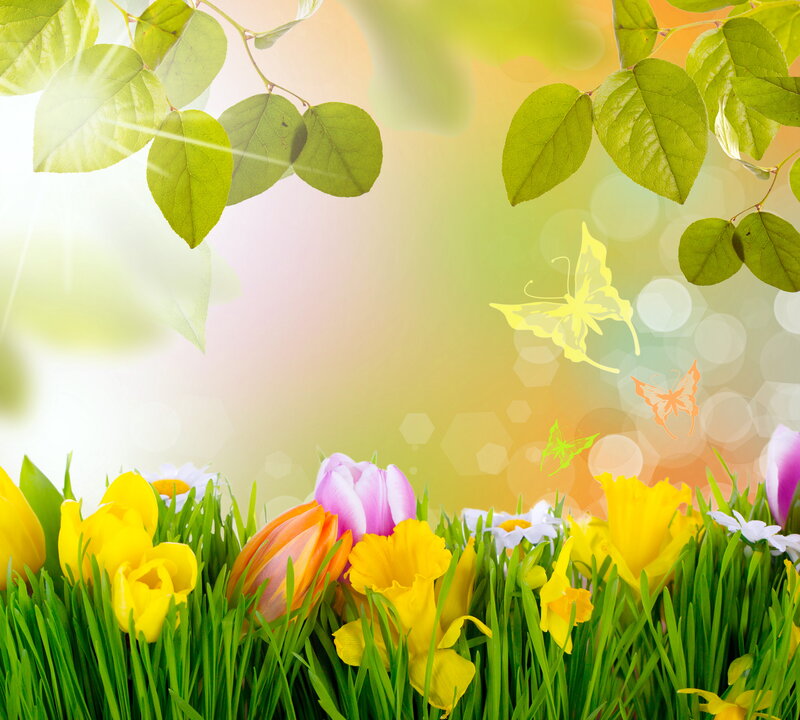 Spring Flowers in Grass — Green, Serene