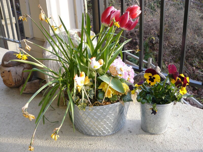 Spring Flowers in Pots