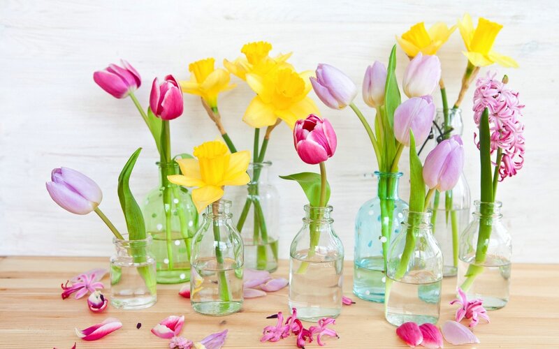 Spring Flowers in Vases — Yellow, Calm