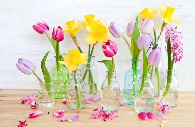 Spring Flowers in Vases — Yellow