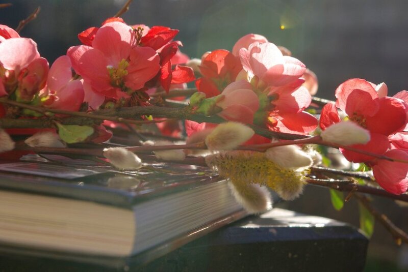 Spring Flowers on Book