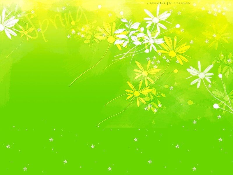 Spring flowers on green background