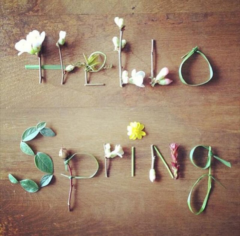 Spring Flowers on Wood