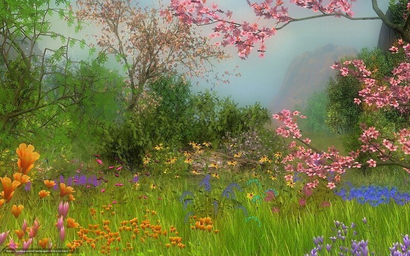 Spring garden with blooming flowers