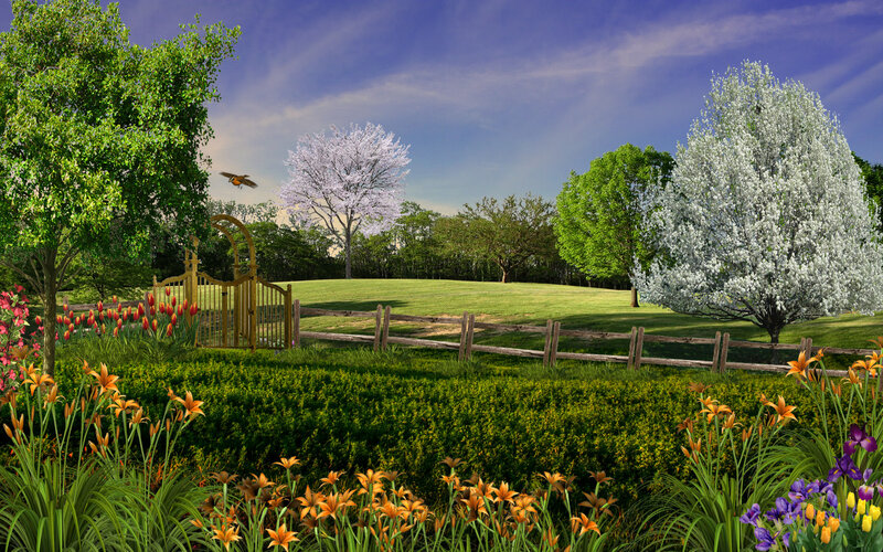 Spring garden with blooming trees