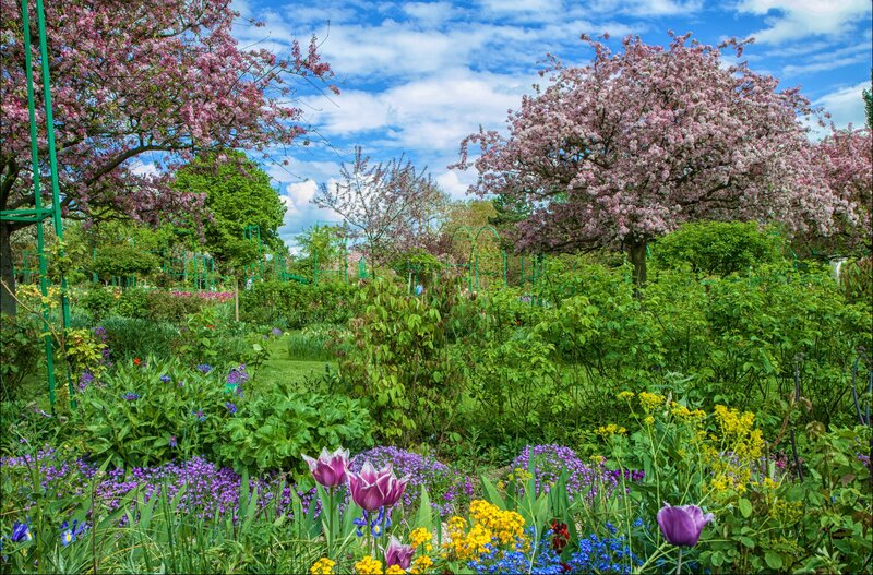 Spring garden with blooming trees