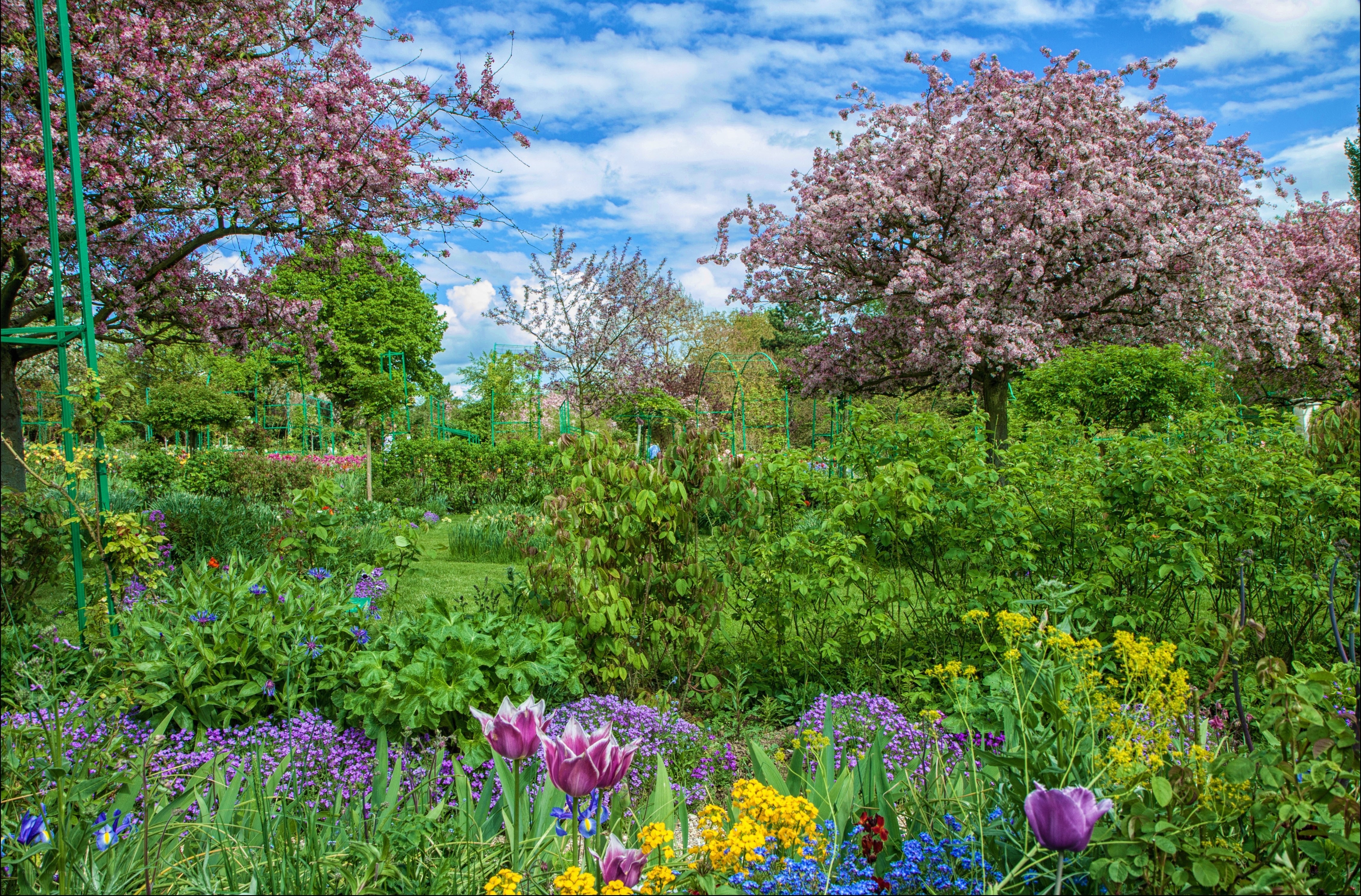 Spring garden with blooming trees