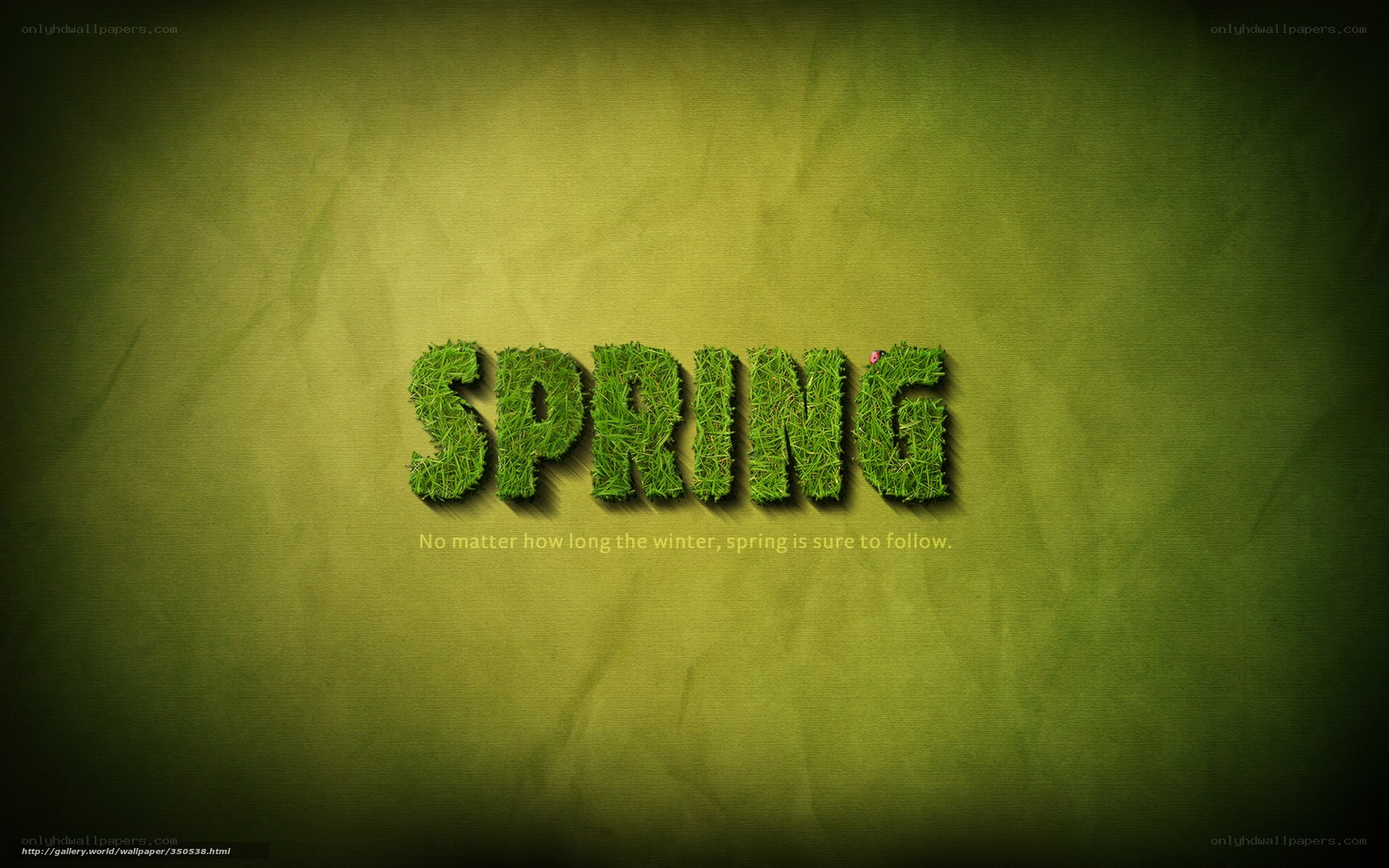 Spring grass text